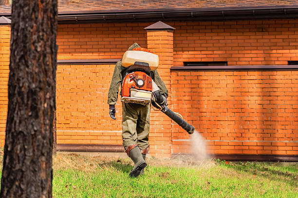 Trusted Rodent Control service in Tomah, WI - Nex Pest Control